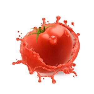 وکتور گوجه فرنگی و آب گوجه فرنگی تازه