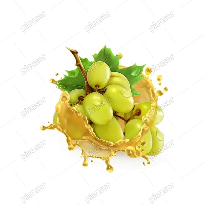 وکتور انگور سه بعدی و قطره های آب انگور وکتور انگور سه بعدی و قطره های آب انگور