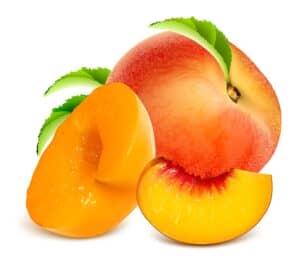 وکتور میوه هلو