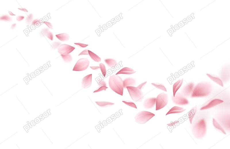 وکتور گلبرگهای صورتی گل گیلاس - شکوفه های بهاری