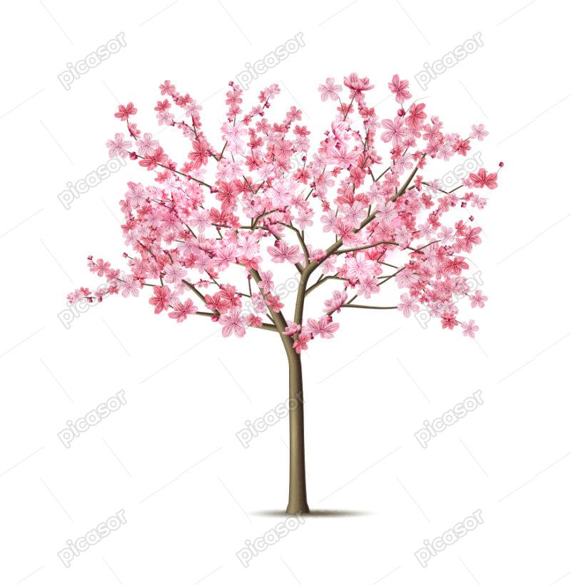 وکتور درخت گیلاس با گلهای صورتی – شکوفه های بهاری
