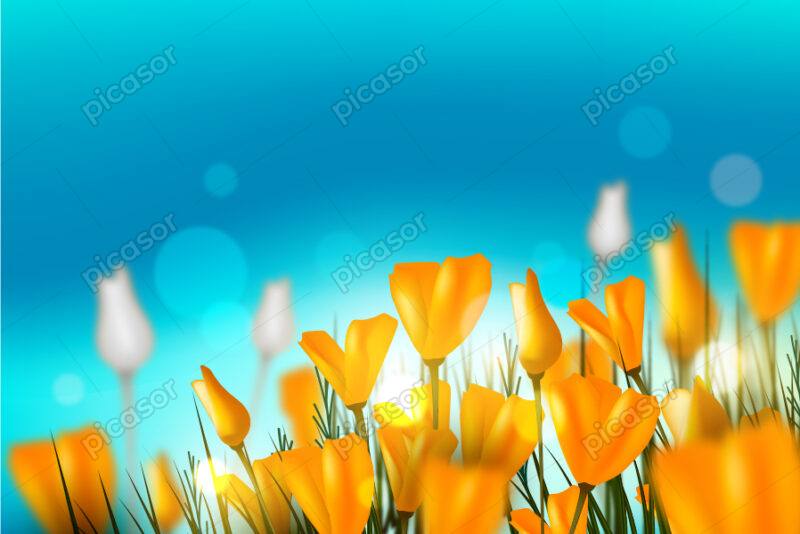 پس زمینه از فصل بهار با گلهای زرد و آسمان آبی و درخشش نور خورشید
