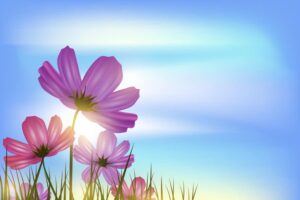 پس زمینه از فصل بهار با گلهای بنفش و آسمان آبی و درخشش نور خورشید