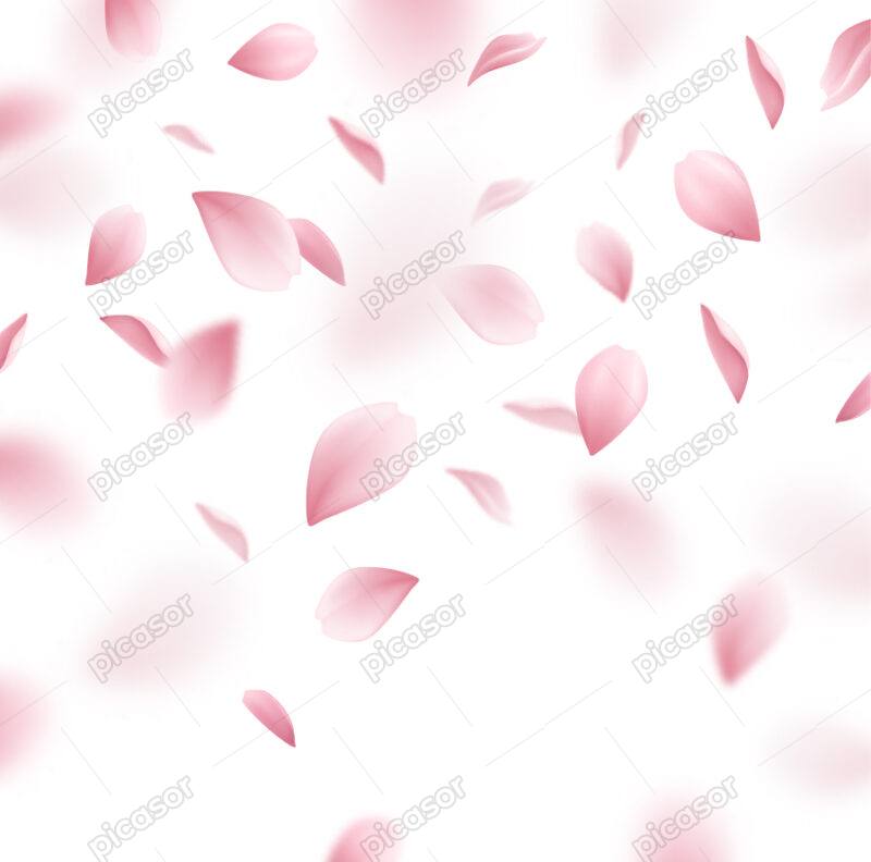وکتور گلبرگهای صورتی گل گیلاس - شکوفه های بهاری