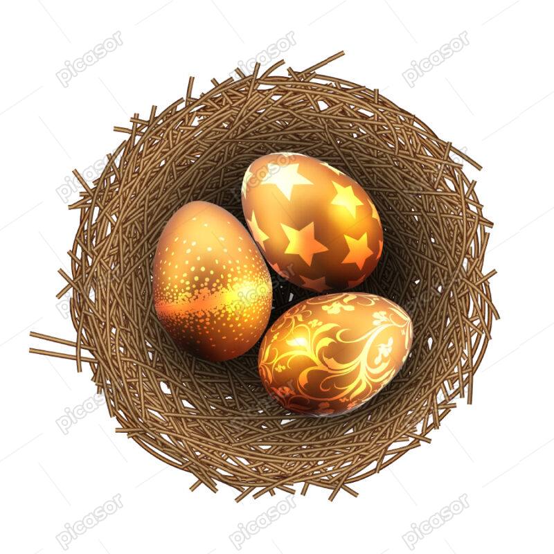 وکتور لانه پرنده و تخمهای طلایی