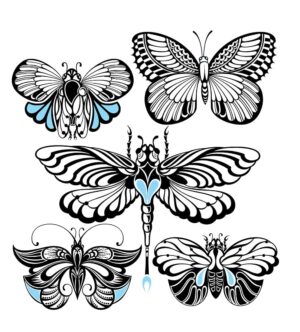 مجموعه وکتور سنجاقک، شاپرک و پروانه های فانتزی و تزئینی