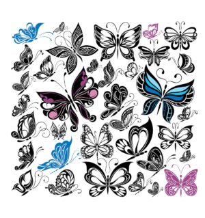 مجموعه وکتور پروانه های فانتزی و تزئینی