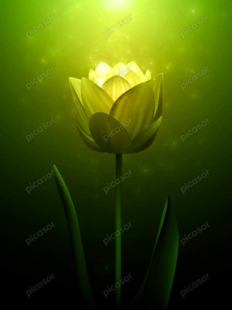 پس زمینه وکتور گل لاله وکتور پس زمینه گل لاله