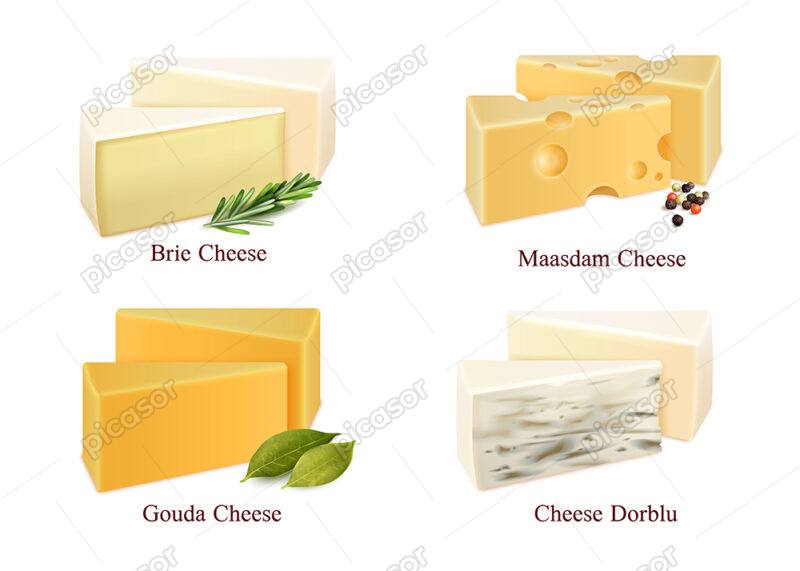 وکتور پنیر محصولات لبنی