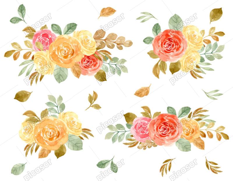 وکتور گل و بوته گلهای رز نقاشی شده آبرنگی