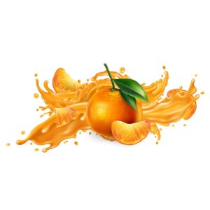 وکتور نارنج نارنگی و آب نارنج نارنگی