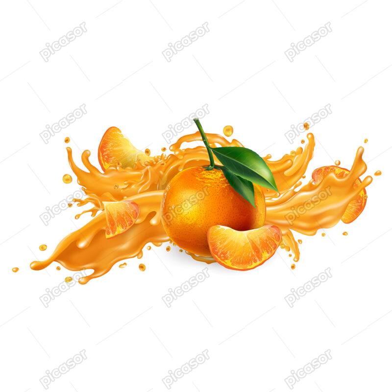 وکتور نارنج نارنگی و آب نارنج نارنگی