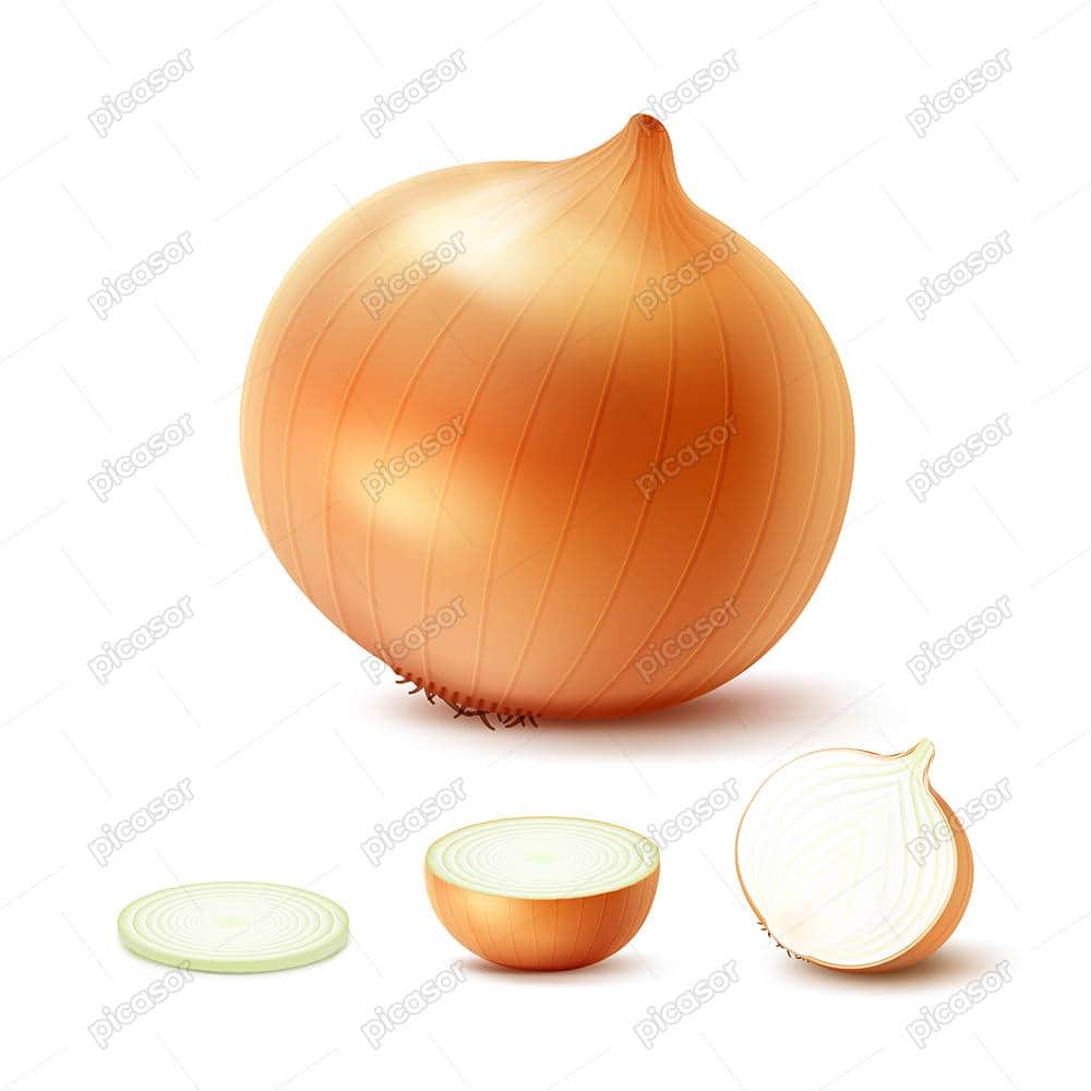 4 وکتور پیاز و پیاز حلقه شده وکتور پیاز و پیاز حلقه شده