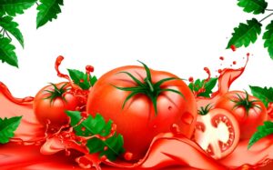 وکتور گوجه فرنگی تازه و قرمز با مقطع بریده شده آن