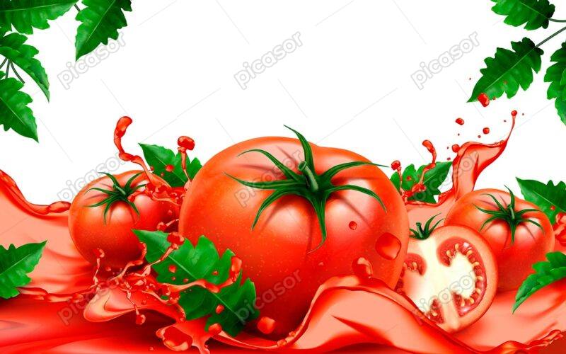 وکتور گوجه فرنگی تازه و قرمز با مقطع بریده شده آن