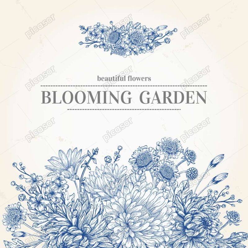 وکتور گل داوودی - وکتور دسته گلهای داوودی آبی با گلهای کوچک
