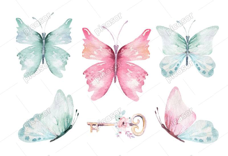 6 وکتور پروانه آبرنگی - وکتور نقاشی آبرنگی پروانه های رنگی و کلید
