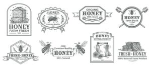 8 وکتور زنبور عسل لیبل عسل برچسب و آیکون های محصولات عسل و شهد طرح وینتج - مونوگرام عسل سیاه و سفید