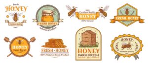 8 وکتور زنبور عسل لیبل عسل برچسب و آیکون های محصولات عسل و شهد طرح وینتج - مونوگرام عسل رنگی