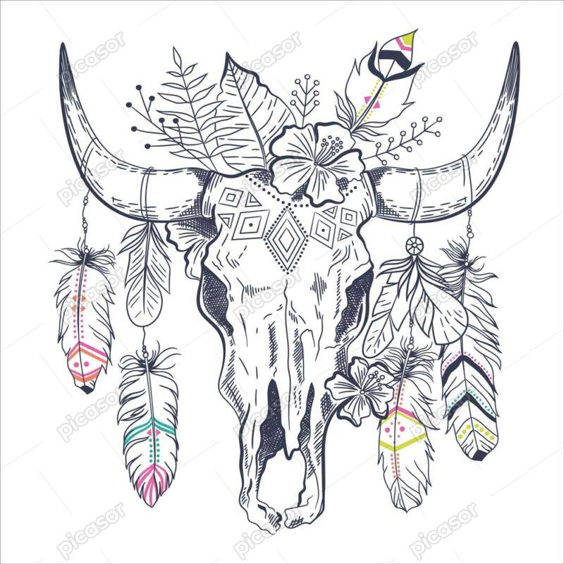 وکتور جمجمه گاو با پرهای رنگین آویزان - نمادهای سرخپوستان آمریکایی