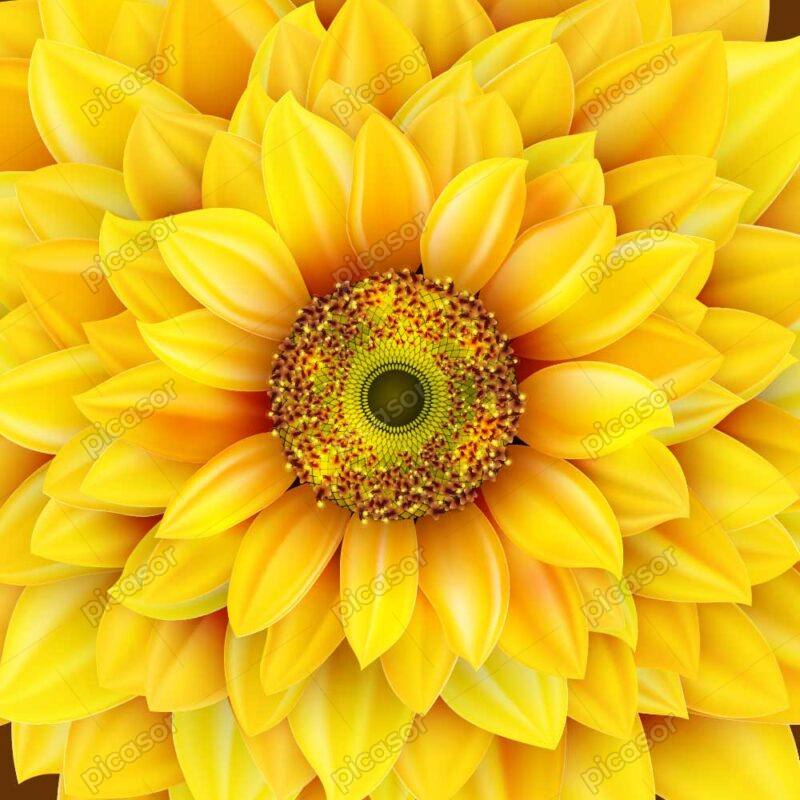 وکتور پس زمینه گل آفتابگردان - زمینه کاور شده با تک گل زرد آفتابگردان