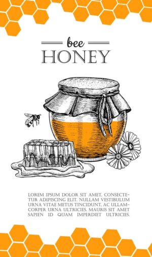 وکتور لیبل عسل طبیعی و برچسب ظرف عسل - وکتور پس زمینه عسل