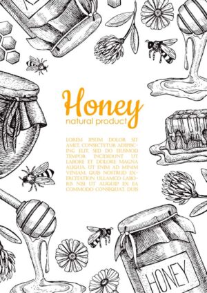 وکتور زنبور عسل و عسل طبیعی - وکتور پس زمینه عسل طبیعی و زنبور