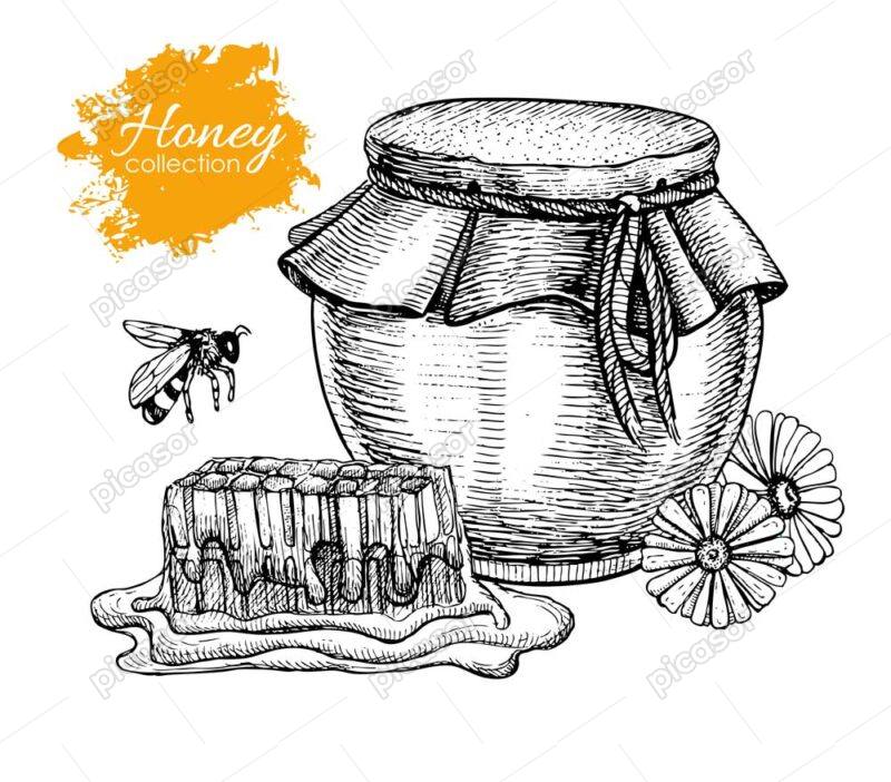 وکتور ظرف عسل به همراه موم عسل و زنبور عسل - وکتور پس زمینه ظرف عسل طبیعی