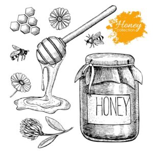 8 وکتور المانهای ظرف عسل طبیعی با گل و زنبور عسل