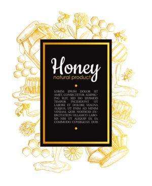 وکتور لیبل عسل طبیعی - وکتور پس زمینه عسل با زنبور و گل