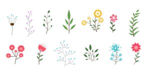 13 وکتور گل و برگ و شاخه گرافیک کارتونی