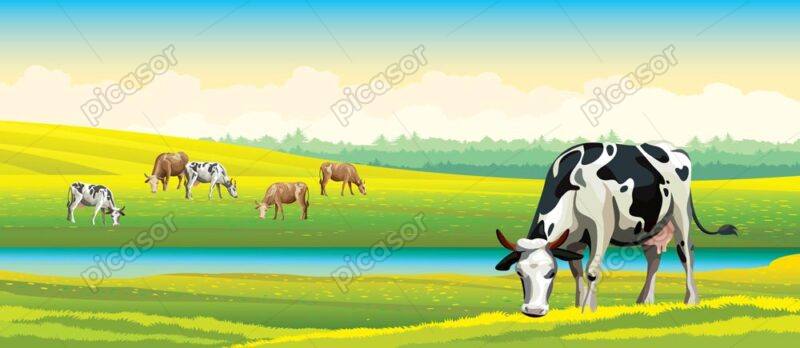 وکتور چشم انداز چمنزار و گاوهای درحال چرا وکتور پس زمینه منظره روستا