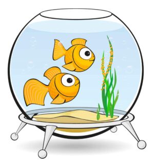 وکتور ماهی طلایی داخل تنگ ماهی - وکتور 2 ماهی گلد فیش وکتور ماهی کارتونی