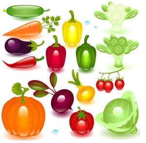 وکتور کلم بادنجان هویج کدو فلفل دلمه گوجه خیار - 15 وکتور انواع سبزیجات