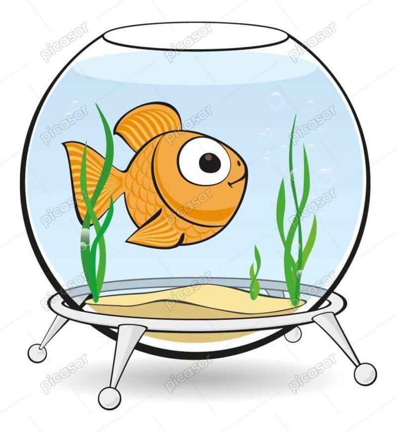وکتور ماهی طلایی داخل تنگ ماهی - وکتور 1 ماهی گلد فیش وکتور ماهی کارتونی