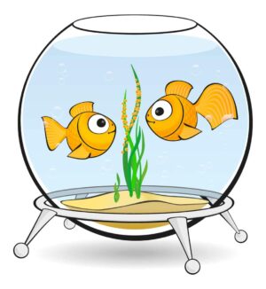 وکتور ماهی طلایی داخل تنگ ماهی - وکتور 2 ماهی گلد فیش