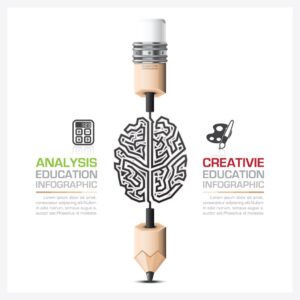 وکتور اینفوگرافیک آموزش اینفوگرافیک مداد و مغز مداد به شکل مغز انسان