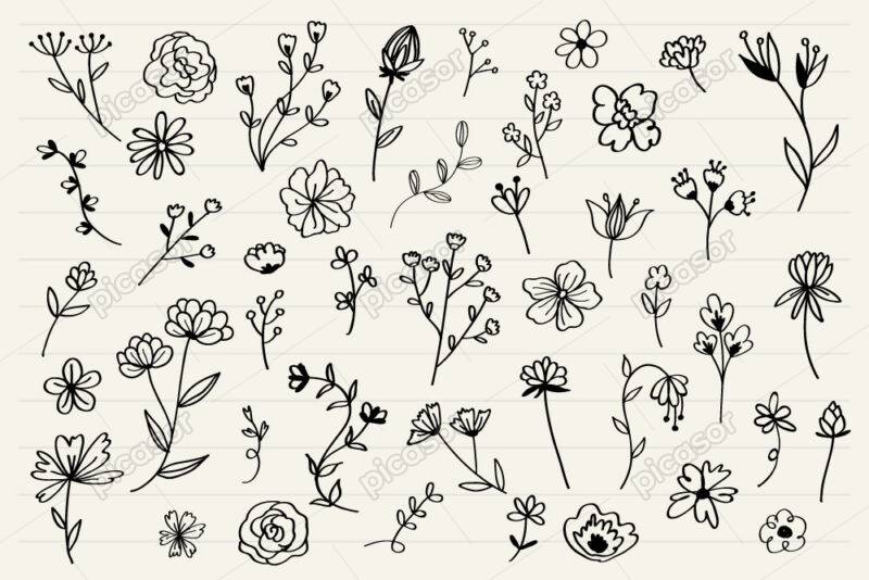 مجموعه وکتور گل و شاخه گلهای نقاشی خطی ساده