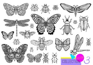 23 وکتور پروانه سنجاقک سوسک زنبور و حشرات دیگر - وکتور حشرات طرح اسکچ خطی