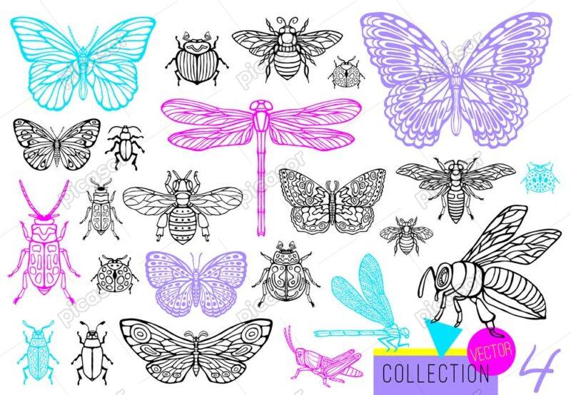 24 وکتور پروانه سنجاقک سوسک زنبور و حشرات دیگر - وکتور حشرات طرح اسکچ خطی