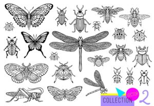 27 وکتور پروانه سنجاقک سوسک و حشرات - وکتور حشرات طرح اسکچ خطی