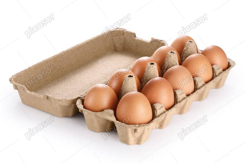 عکس شانه تخم مرغ رسمی محلی سالم - تصویر شانه تخم مرغ های قهوه ای
