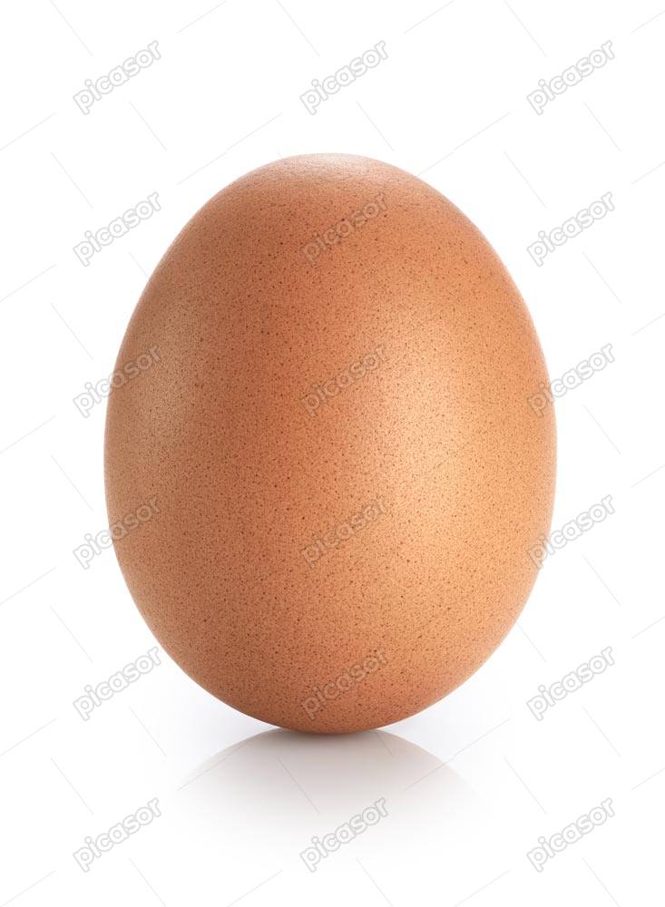 عکس تخم مرغ رسمی محلی سالم - تصویر تکی از تخم مرغ قهوه ای سالم