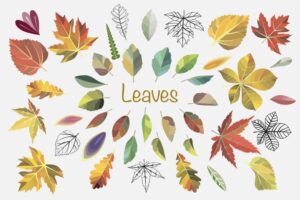 مجموعه وکتور برگ های پاییزی رنگارنگ - وکتور نقاشی برگ های خشک و زرد پاییزی