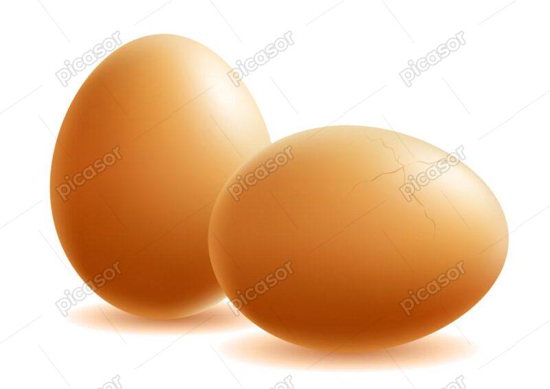 2 وکتور تخم مرغ محلی - وکتور تخم مرغ رسمی قهوه ای