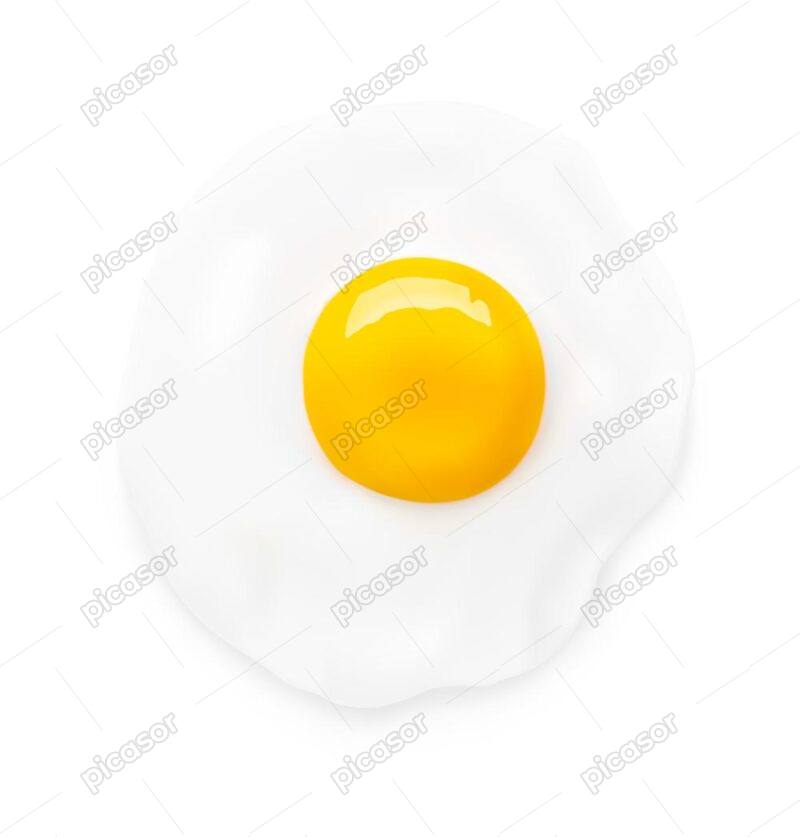 وکتور نیمرو تخم مرغ - وکتور زرده و سفیده تخم مرغ