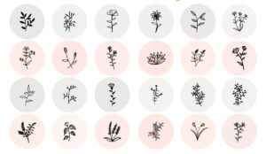 24 وکتور شاخه گل و گیاه مینیمال نقاشی خطی - وکتور نقاشی خطی گل و گیاه ظریف و ساده