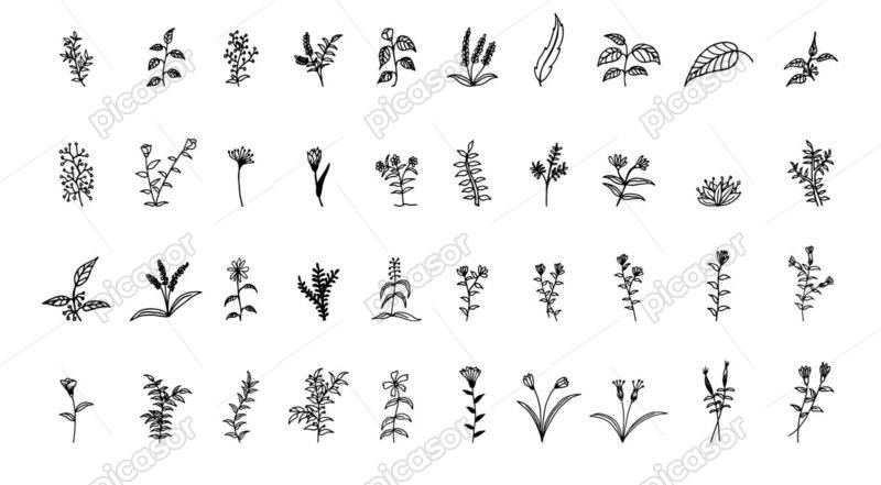 40 وکتور شاخه گل و گیاه مینیمال نقاشی خطی - وکتور نقاشی خطی گل و گیاه ظریف و ساده