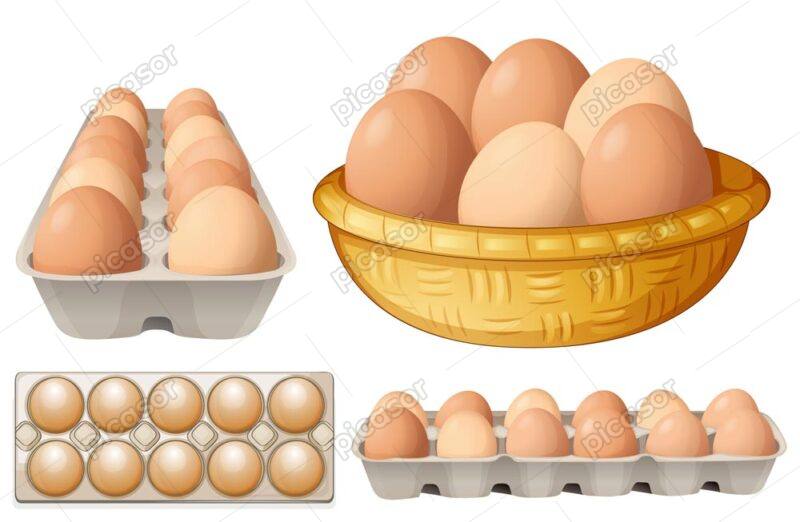 4 وکتور شانه تخم مرغ رسمی محلی سالم - وکتور شانه تخم مرغ های قهوه ای وکتور سبد تخم مرغ محلی