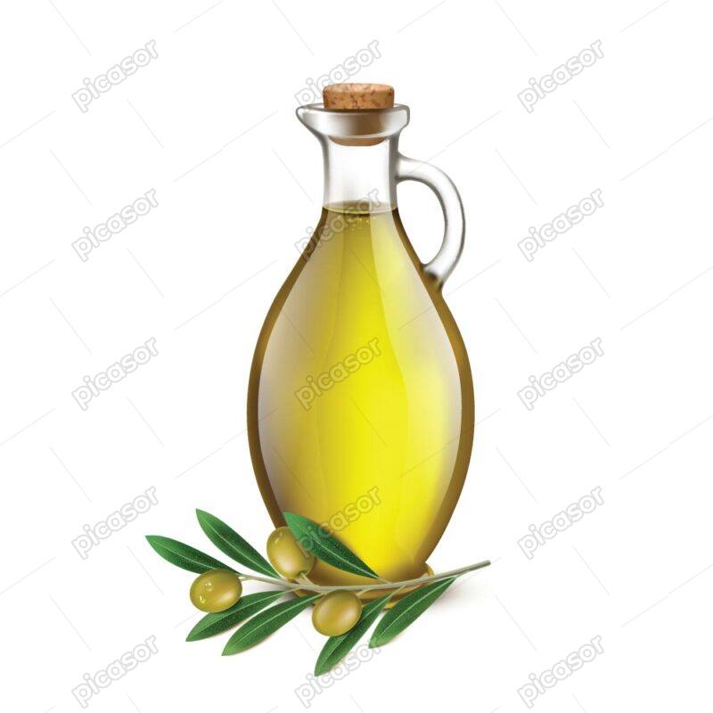 وکتور شیشه روغن زیتون و شاخه زیتون